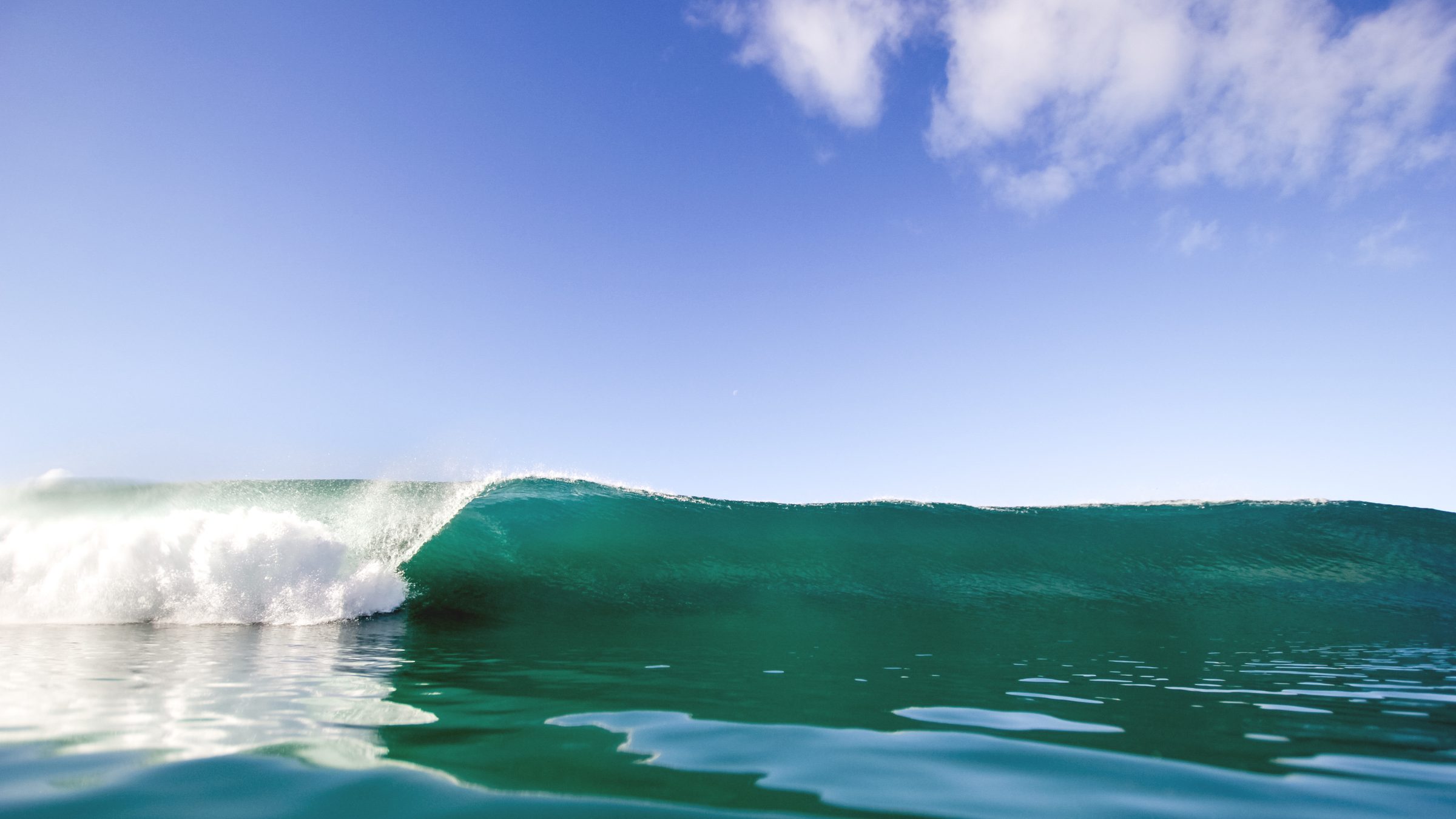A glassy green wave barreling under a blue sky at Torrey Pines State Beach, San Diego, California