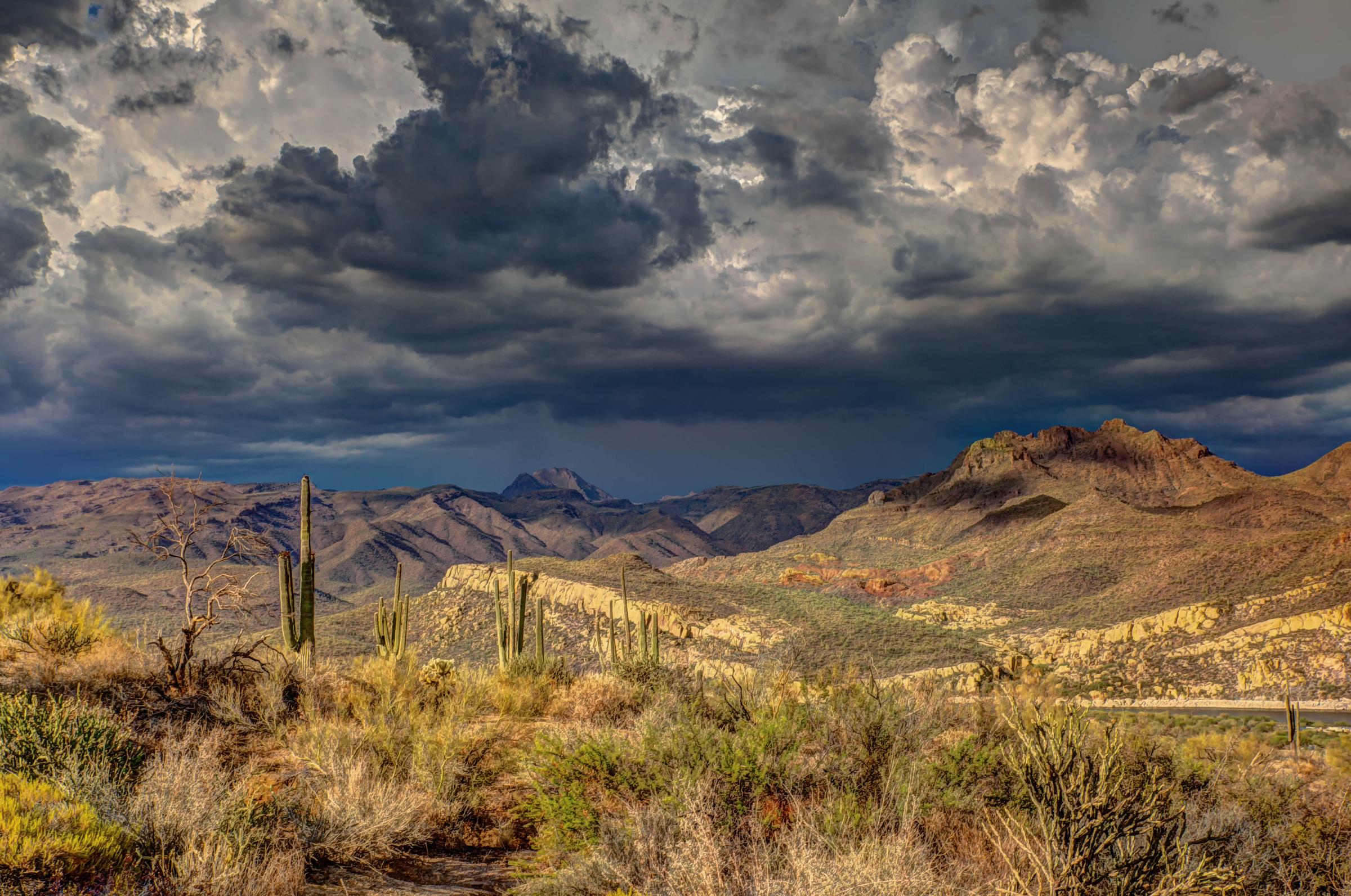Saguaros below desert mountains under a monsoon storm sky, Sonoran Desert, Arizona
